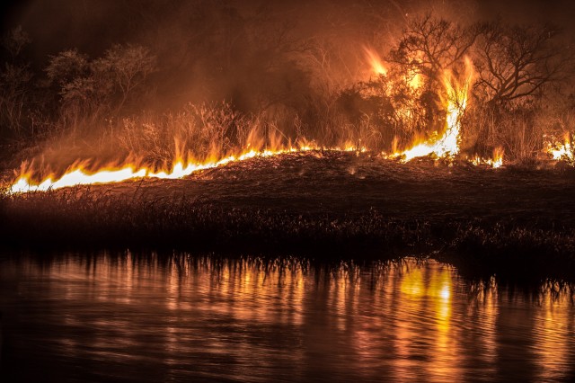 Récord de incendios en el delta del Paraná en medio de la pandemia